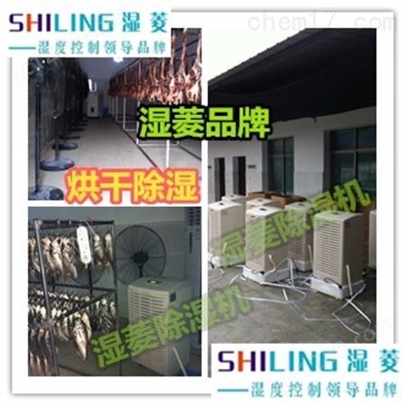 荆州地下室家具工业除湿机SL-9150C