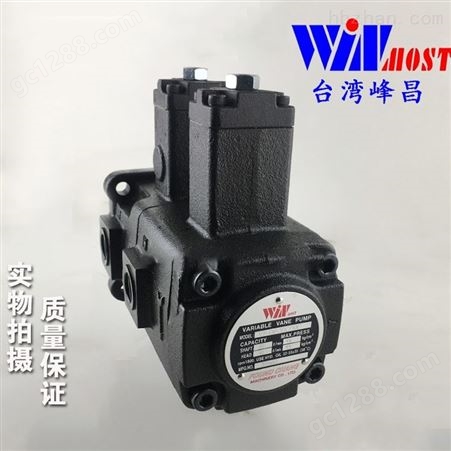 中国台湾WINMOST峰昌VP-DF-40-40叶片泵