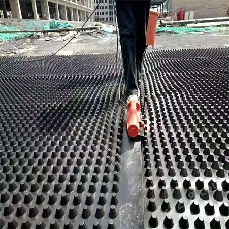 遂宁地下车库顶板排水板 车库绿化排水板厂家 塑料排水板批发
