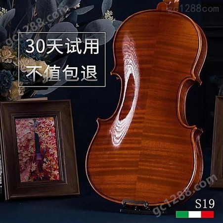 雅卡萨天然虎纹小提琴手工实木演奏考级初学者级中提琴弦乐器