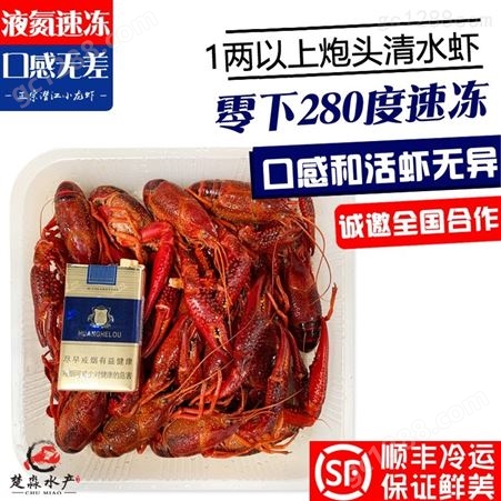 2021潜江鲜活速冻小龙虾液氮速冻清水虾1两以上规格30斤起售货源充足