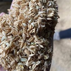 压缩压块稻壳 植被种植保温覆盖稻壳 新鲜干燥无杂尘