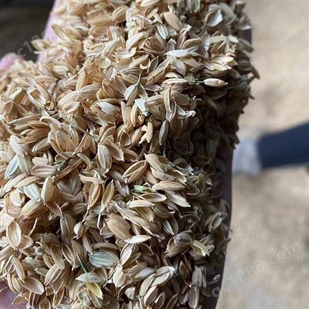 压缩压块稻壳 植被种植保温覆盖稻壳 新鲜干燥无杂尘