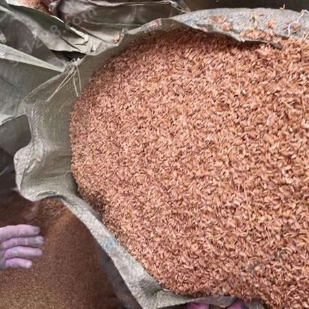 保温材料添加稻壳辅料 干燥性好 无发霉现象 早春农产品