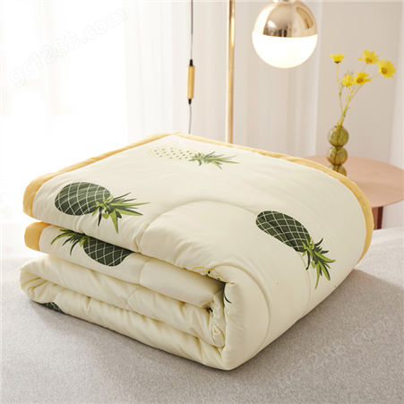 菠萝印花夏凉被定制 舒适绗缝水洗棉刺绣 夏季空调被 单位礼品可定制