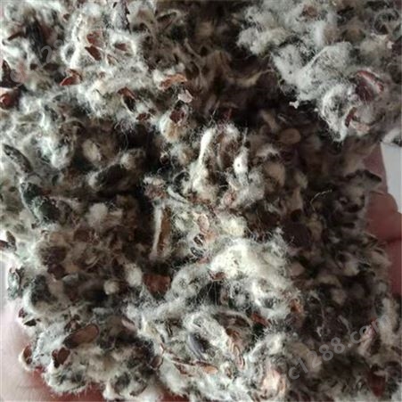 百纳矿产品 食用菌用棉籽壳 油田堵漏用棉籽壳片 中壳中绒