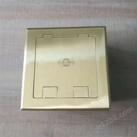 鑫苹十位组合式纯铜金色地板插座 地面信息盒 多媒体地插箱