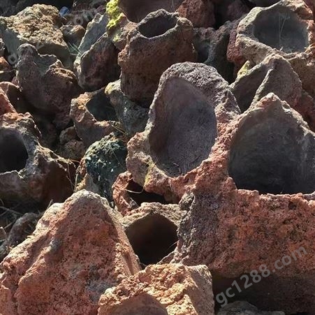 火山石花盆 按尺寸大小议价 园艺种植用 栽培基质水族过滤