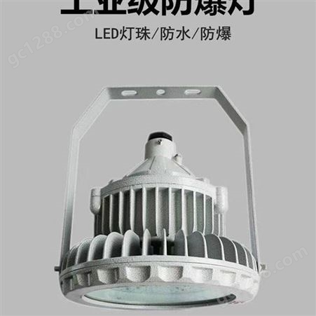 LED防爆灯 厂用泛光灯 室内外荧光灯 200W防爆投光灯 可定制