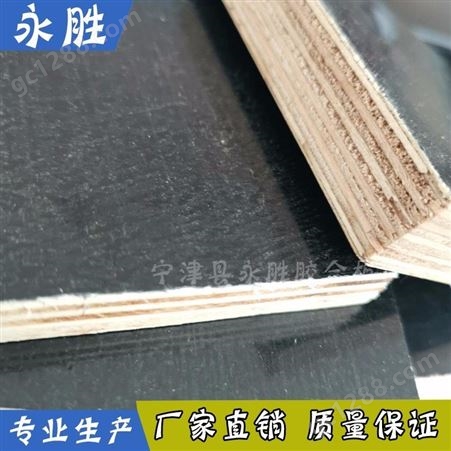 宁津杨木多层板 黑色建筑模板 清水模板直销 反复多次使用