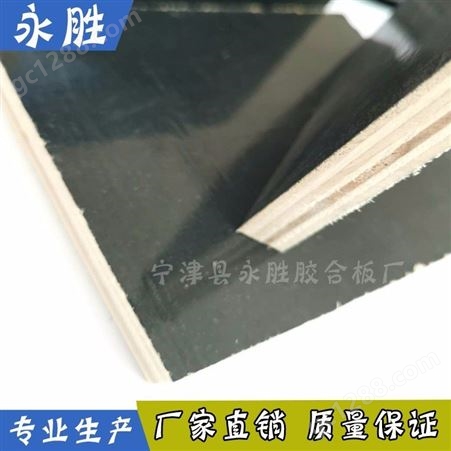 宁津杨木多层板 黑色建筑模板 清水模板直销 反复多次使用