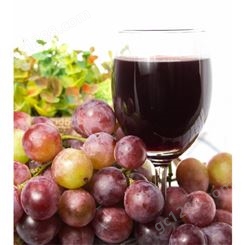 浓缩汁红葡萄浓缩汁西班牙进口果汁原料
