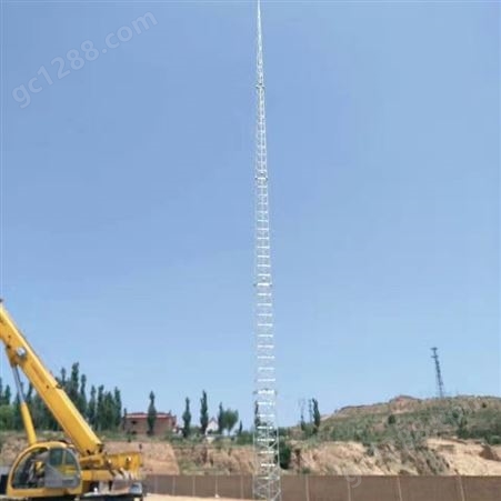 万信铁塔加工生产20米不锈钢避雷针15米不锈钢避雷塔