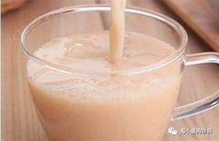 青岛奶茶原料供应商 乳酸菌销售