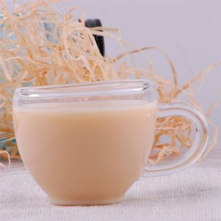 青岛奶茶原料供应商 乳酸菌销售