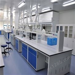 诺尔 NE-SYT-236 化学实验室 实验室家具 生产安装